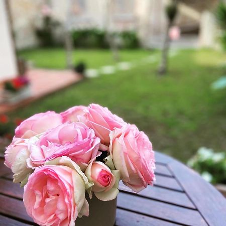 Victoria House B&B 피사 외부 사진