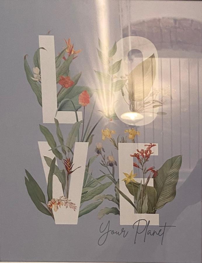 Victoria House B&B 피사 외부 사진