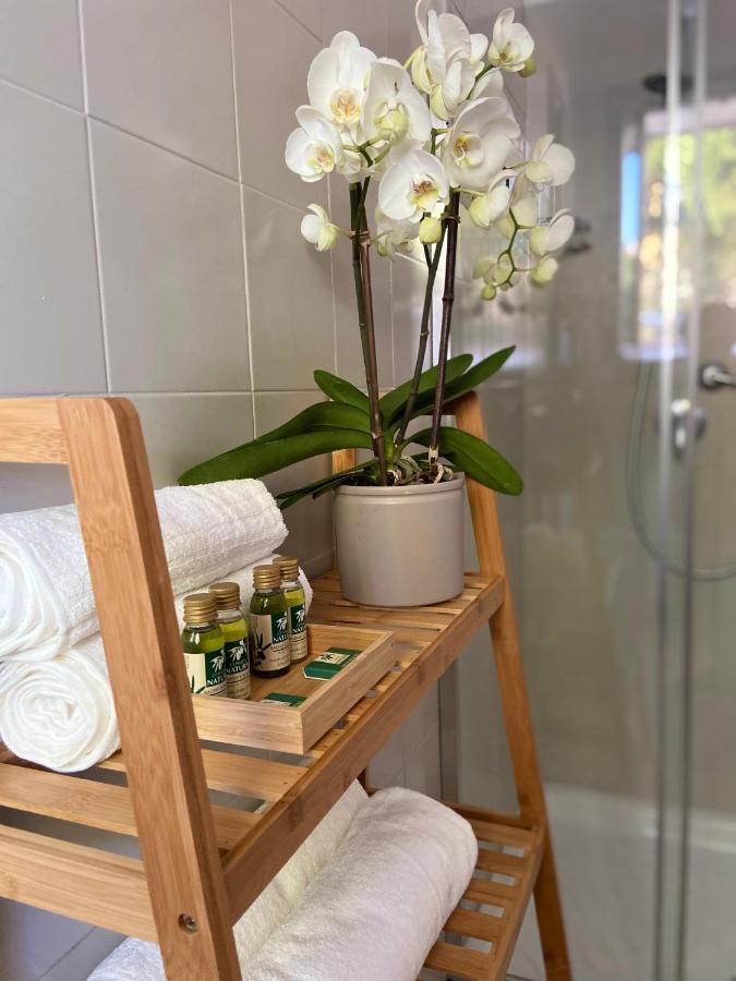 Victoria House B&B 피사 외부 사진
