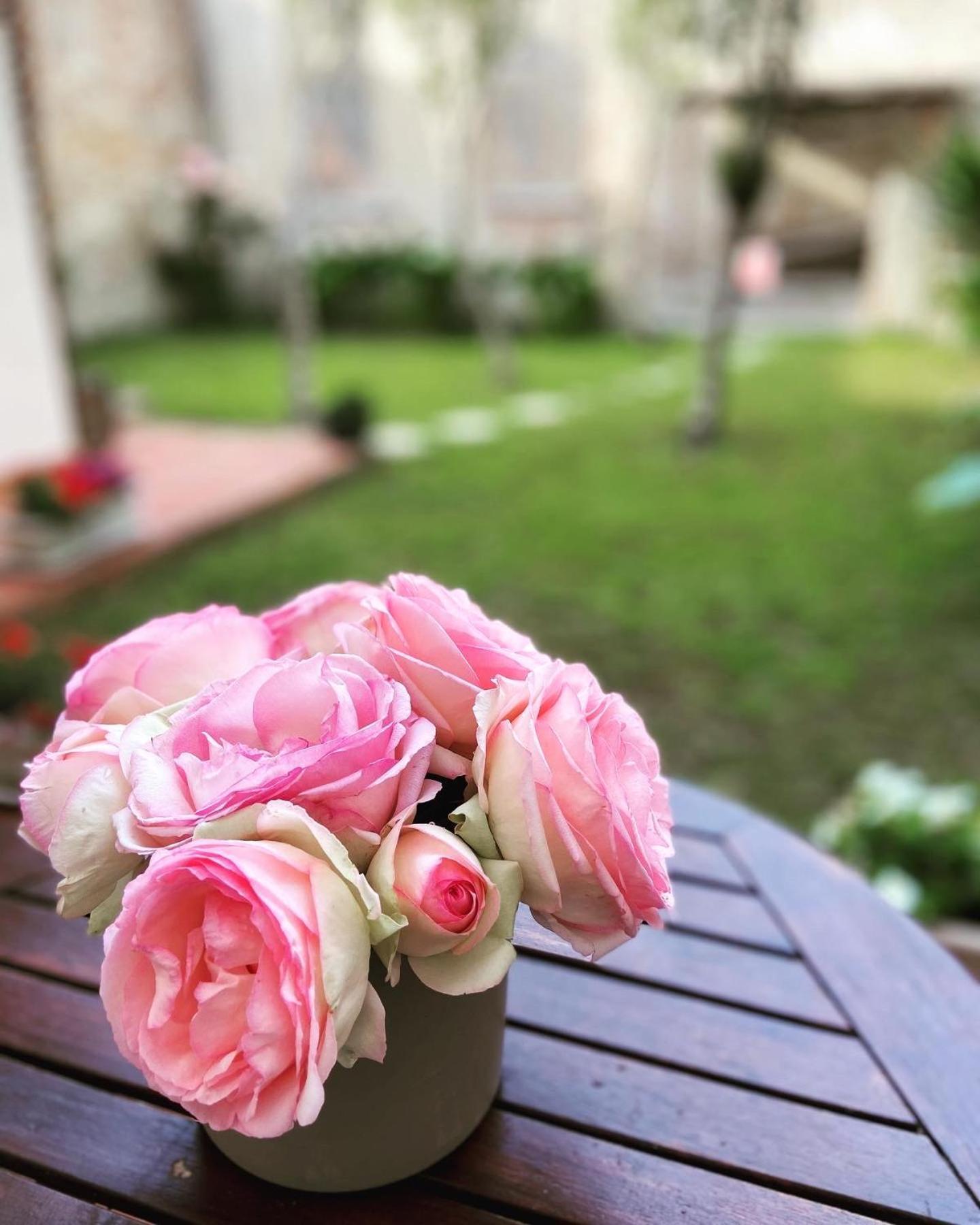 Victoria House B&B 피사 외부 사진